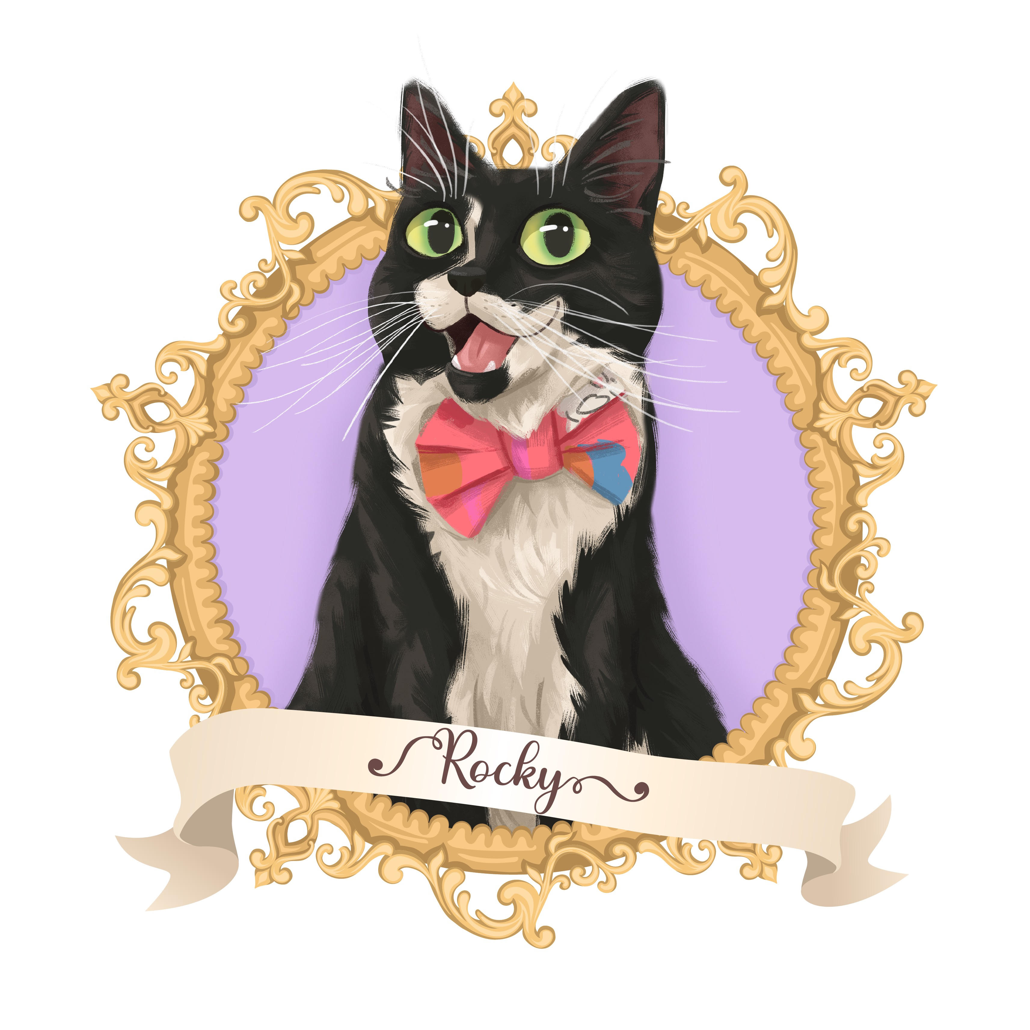 rocky_tuxedo_cat