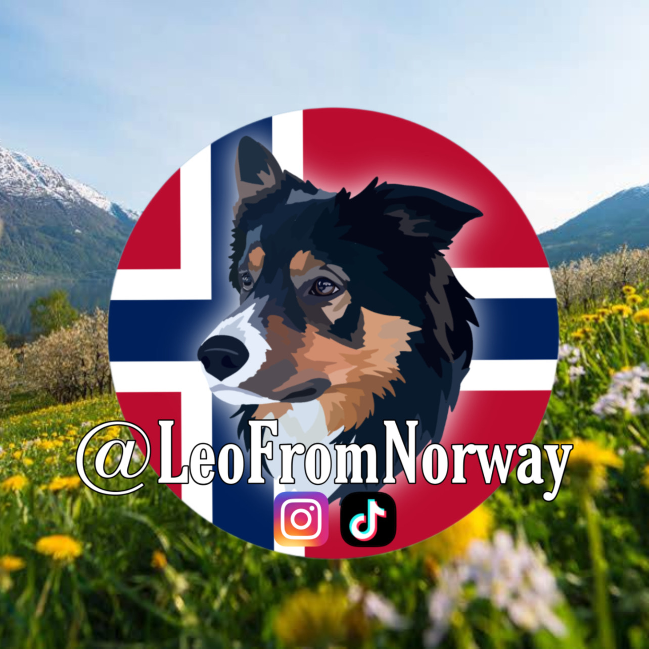 LeoFromNorway