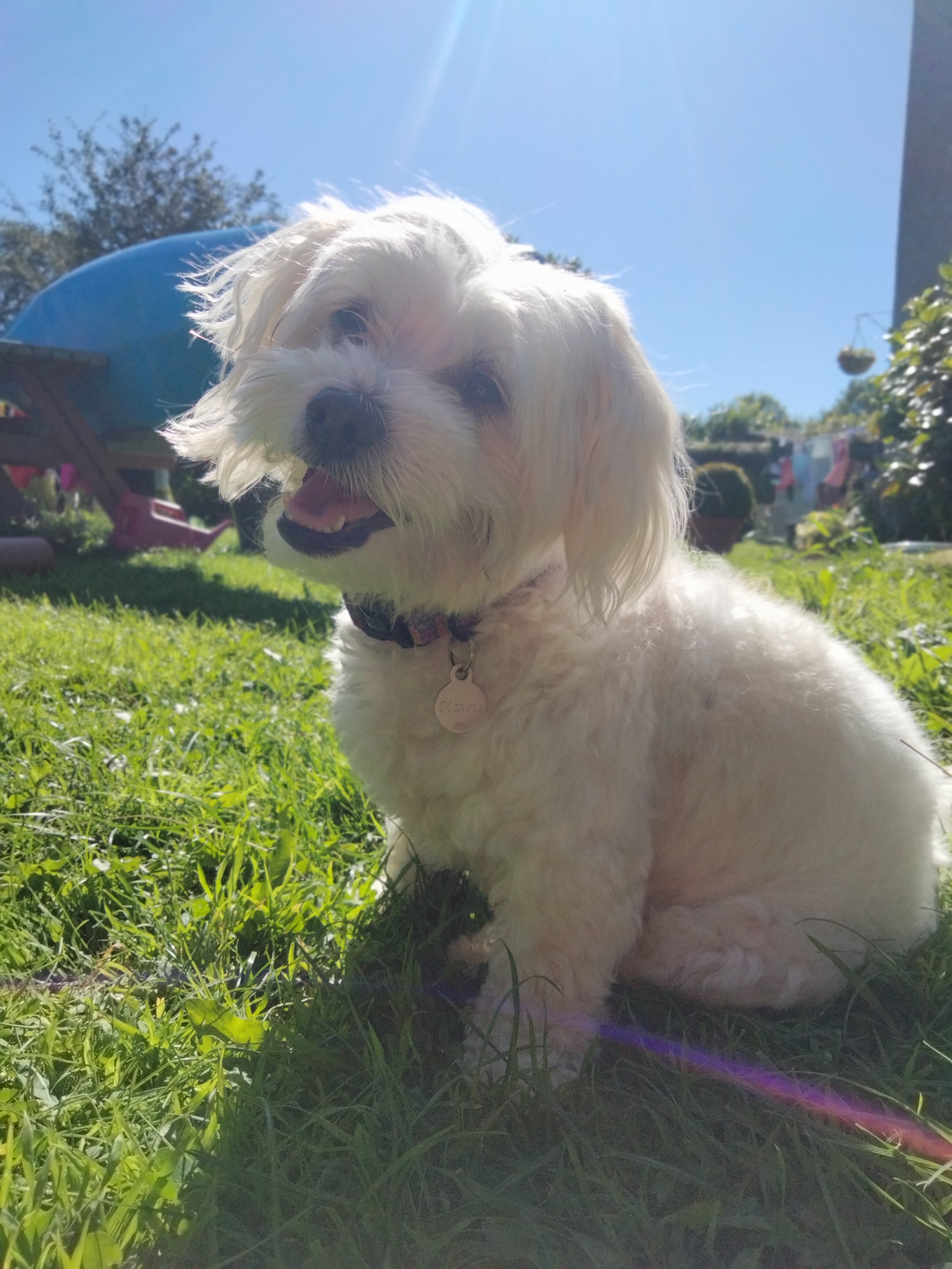 Maisie.jacktese