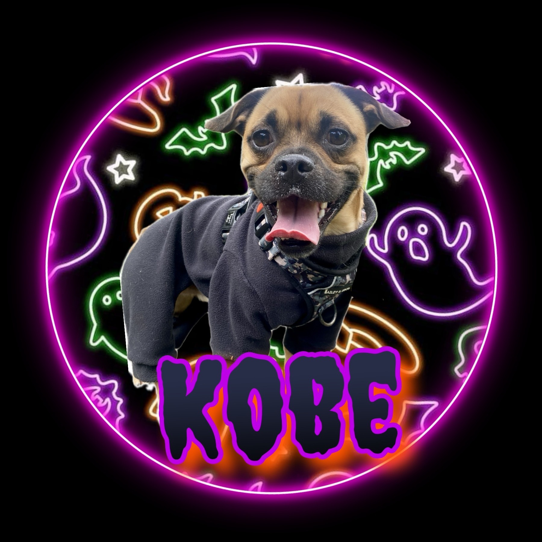 kobethejug